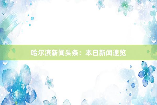 哈尔滨新闻头条：本日新闻速览